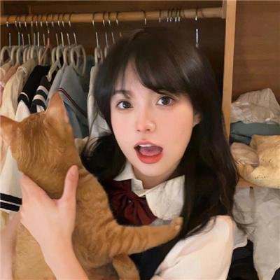 柳川堀割物语